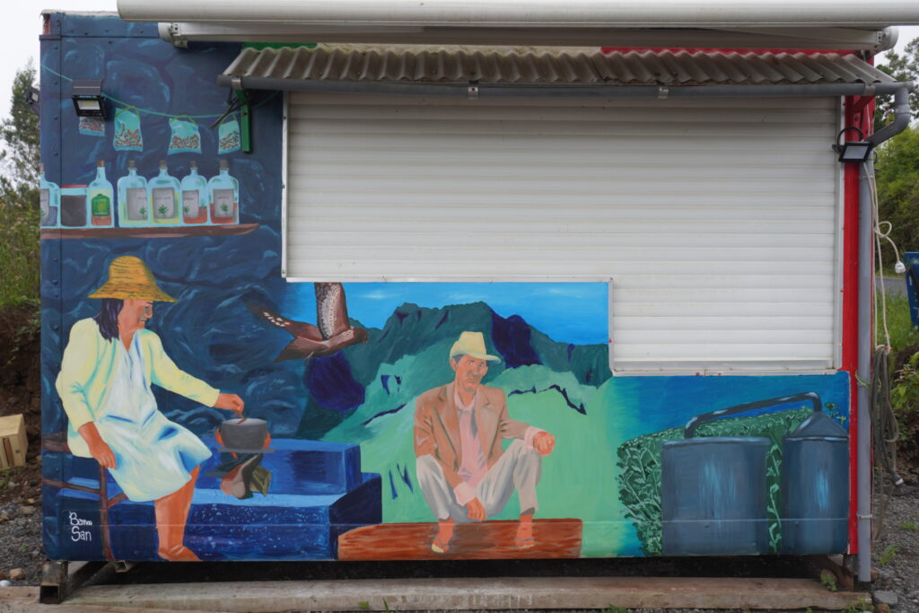 Fresque murale artistique réalisée par un artiste graphiste à La Réunion